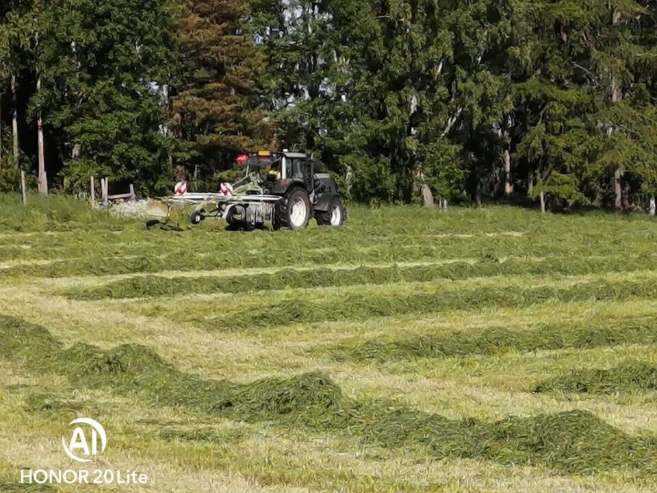 Heinäseosta eläimille